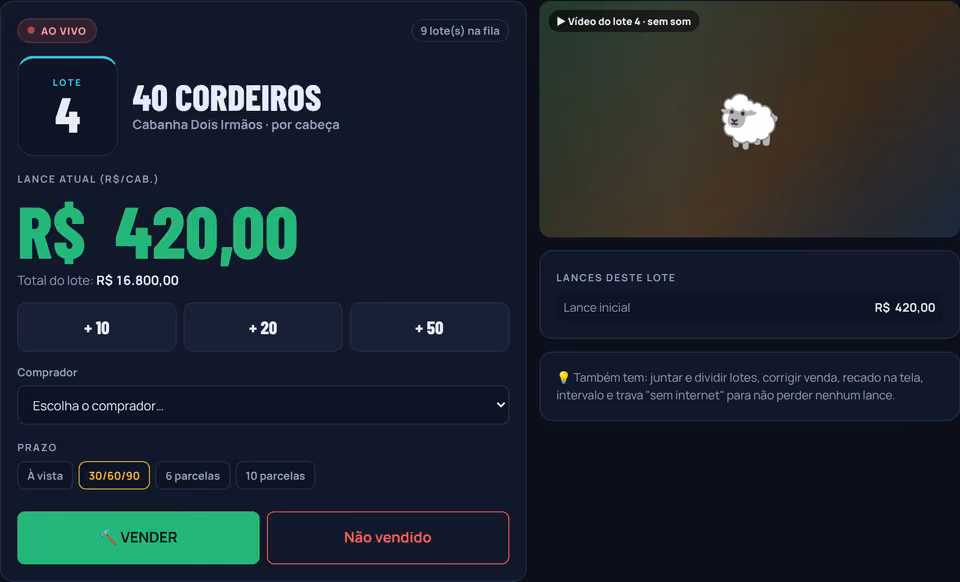 Tela de controle de pista com o lote 4, 40 cordeiros, lance de R$ 420,00 por cabeça e botões de mais 10, mais 20 e mais 50